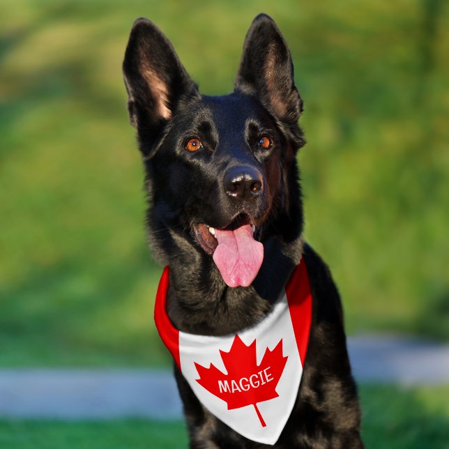 Canadian flag personalized dog name pet bandana collar (Dog)