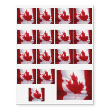 CANADIAN FLAG