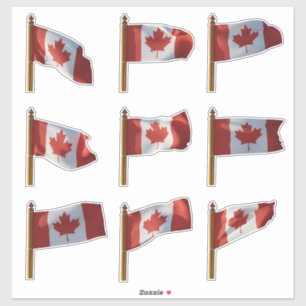 Canadian Flags Flying Series IV Sticker