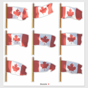 Canadian Flags Flying Sticker