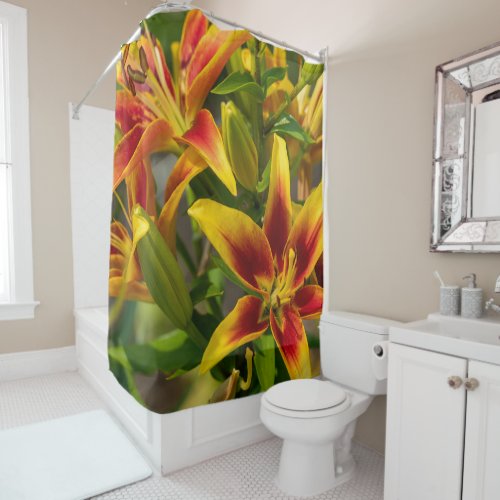 Canadian Floral Beauty Orange Daylily Shower Curtain