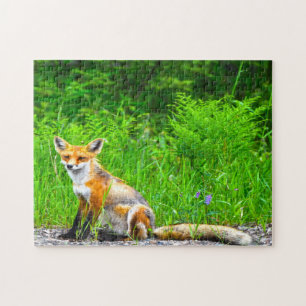 Canadian Fox Jigsaw Puzzle