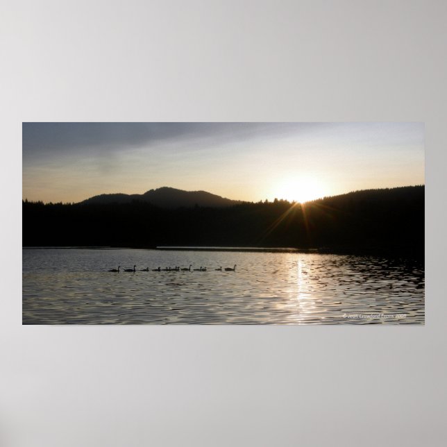 Canadian geese and sunset over Spring Valley Reser Poster (Front)