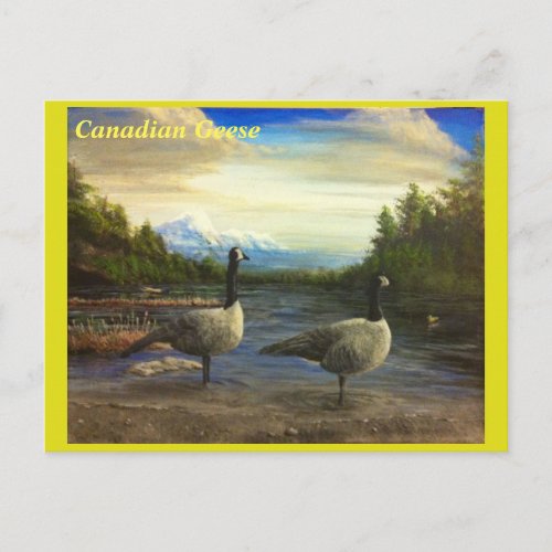 Canadian Geese at Beaver Lake _ postcard