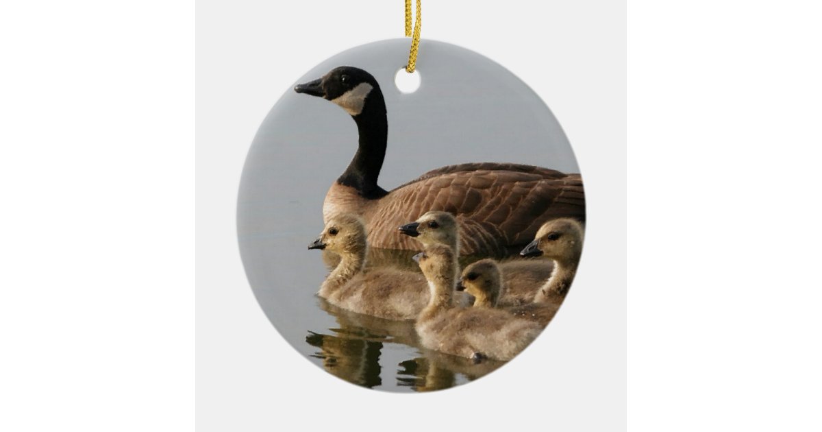 Canadian Geese Bird Lovers Gifts Ceramic Ornament Zazzle