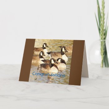 Canadian Geese Blank Card- Customize Any Occasion Card by MakaraPhotos at Zazzle