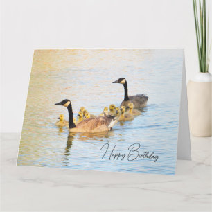 Canadian Geese Family - Birthday Card