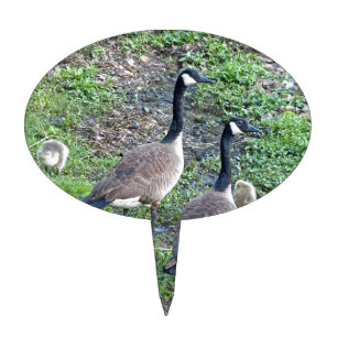 Canadian Geese Family Cake Topper