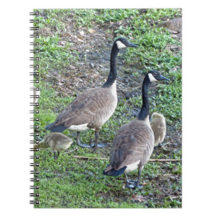 Canadian Geese Family Notebook