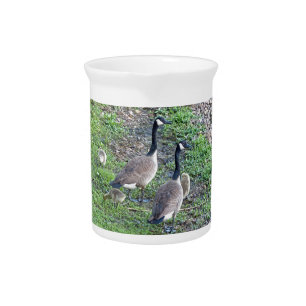 Canadian Geese Family Pitcher