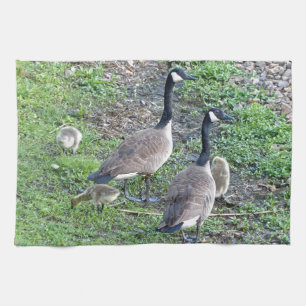 Canadian Geese Family Towel