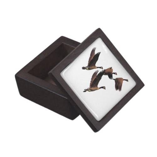 Canadian geese flying in a flock kids design jewelry box