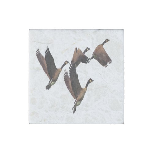 Canadian geese flying in a flock kids design stone magnet