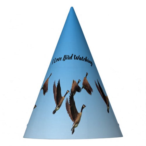 Canadian geese flying together kids design party hat