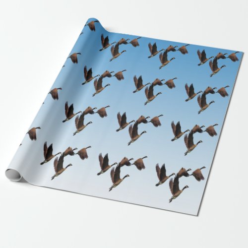 Canadian geese flying together kids design wrapping paper