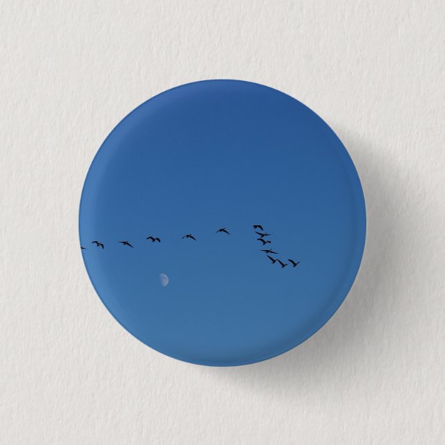 Canadian geese in flight     button (Front)