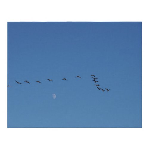 Canadian geese in flight        faux canvas print