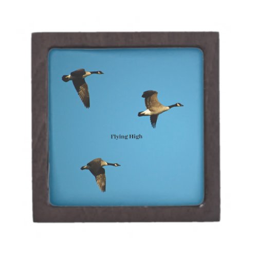 Canadian geese in flight  gift box