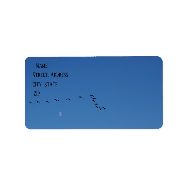 Canadian geese in flight label (Front)