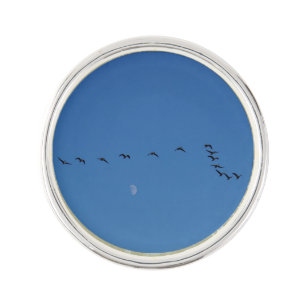 Canadian geese in flight          lapel pin