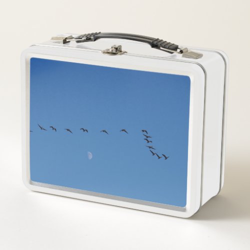 Canadian geese in flight          metal lunch box