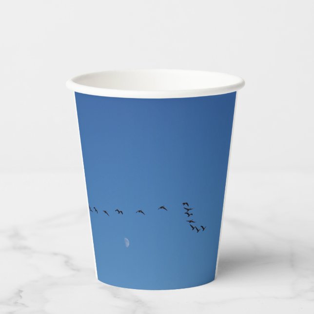 Canadian geese in flight          paper cups (Front)