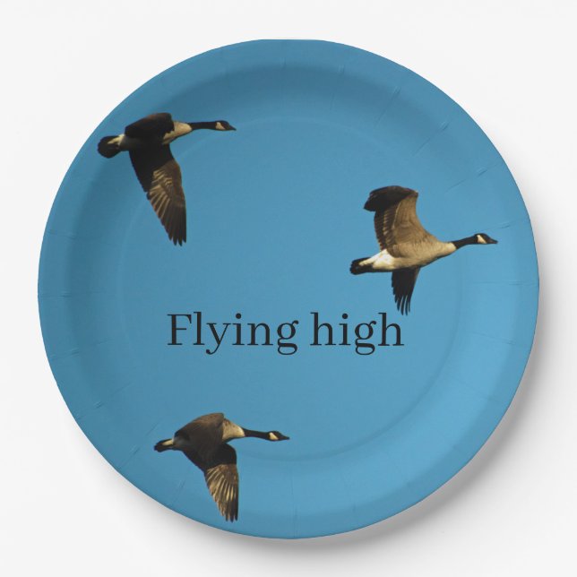 Canadian geese in flight  paper plates (Front)