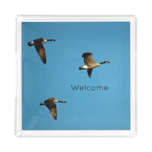 Canadian geese in flight  serving tray