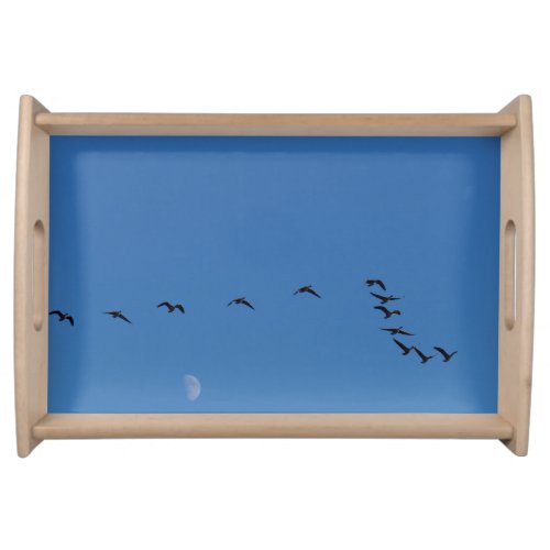 Canadian geese in flight         serving tray