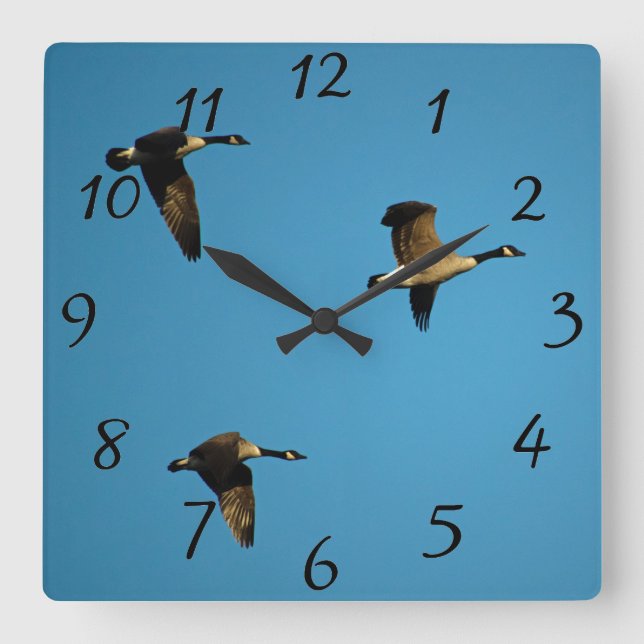 Canadian geese in flight square wall clock (Front)