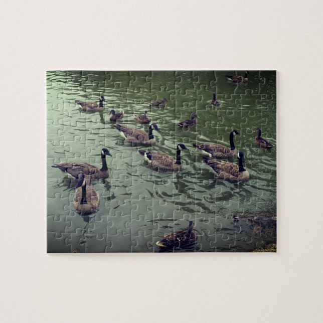 Canadian Geese & Mallard Ducks Jigsaw Puzzle (Horizontal)