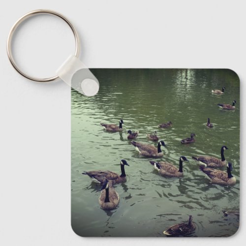 Canadian Geese  Mallard Ducks Keychain