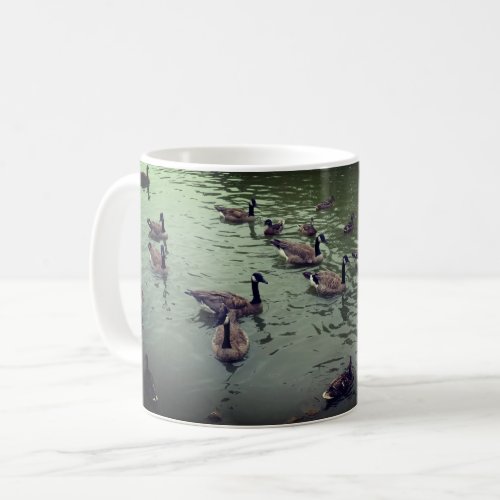 Canadian Geese  Mallard Ducks Mug