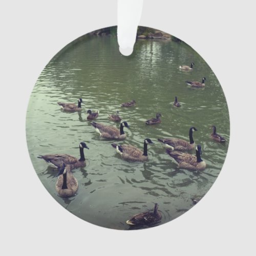 Canadian Geese  Mallard Ducks Ornament