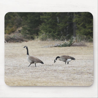 Canadian Geese Mouse Pad