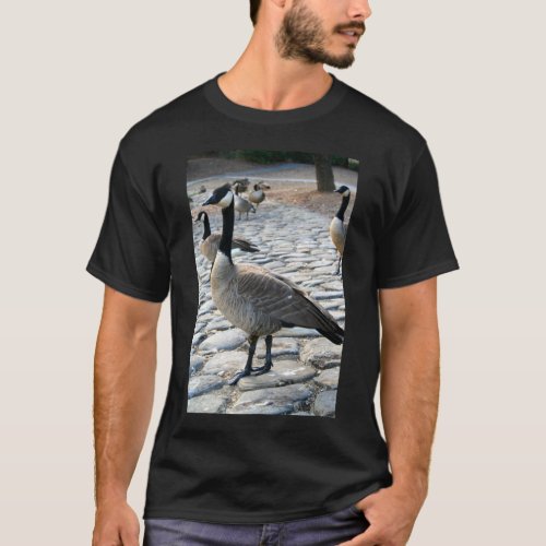 Canadian Geese Near The Lake T_Shirt