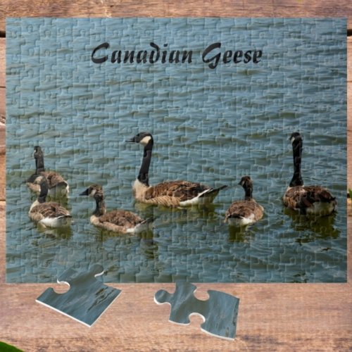 Canadian Geese on Lake Photographic Jigsaw Puzzle
