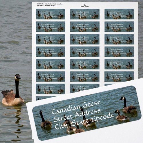 Canadian Geese on Lake Photographic Return address Label