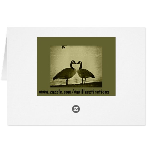 Canadian Geese Photo (Back Horizontal)