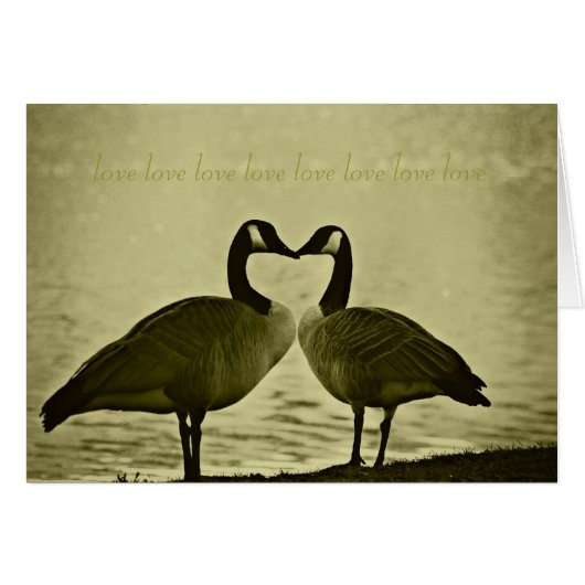 Canadian Geese Photo (Front Horizontal)