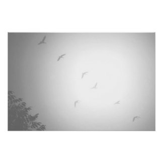 Canadian Geese Poster