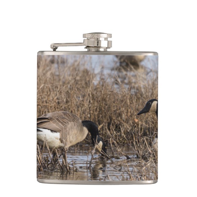 Canadian Geese Snack Time Flask (Front)