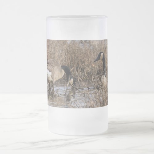 Canadian Geese Snack Time Frosted Glass Beer Mug