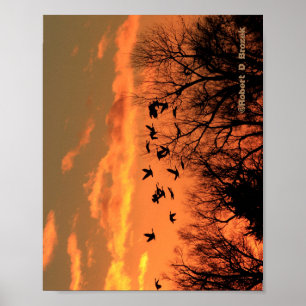 Canadian Geese Sunset Silhouette Wood Poster. Woo Poster