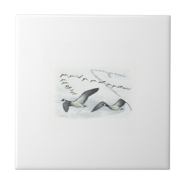 Canadian Geese Tile. Tile (Front)