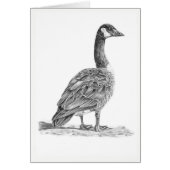 Canadian Goose (Front)