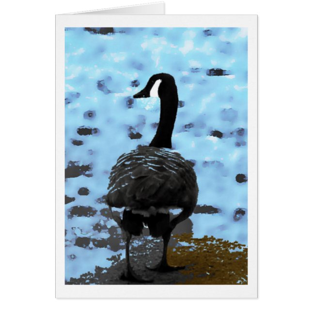 Canadian goose card (Front)