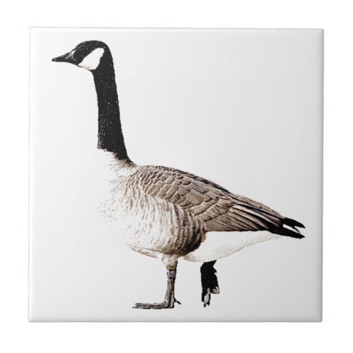 Canadian Goose Ceramic Tile