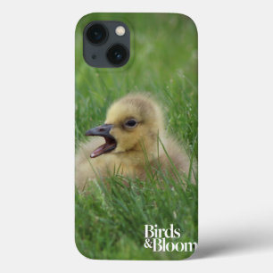 Canadian Goose Chick iPhone 13 Case
