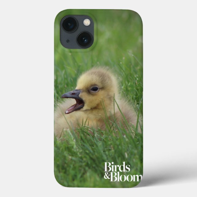 Canadian Goose Chick Case-Mate iPhone Case (Back)